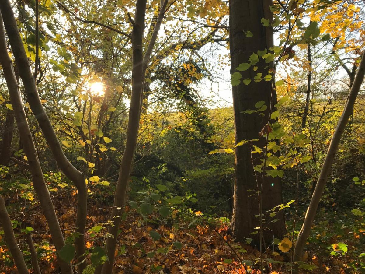 La Suite Cosy - Votre Pause Arboree La Bruyere Eksteriør bilde