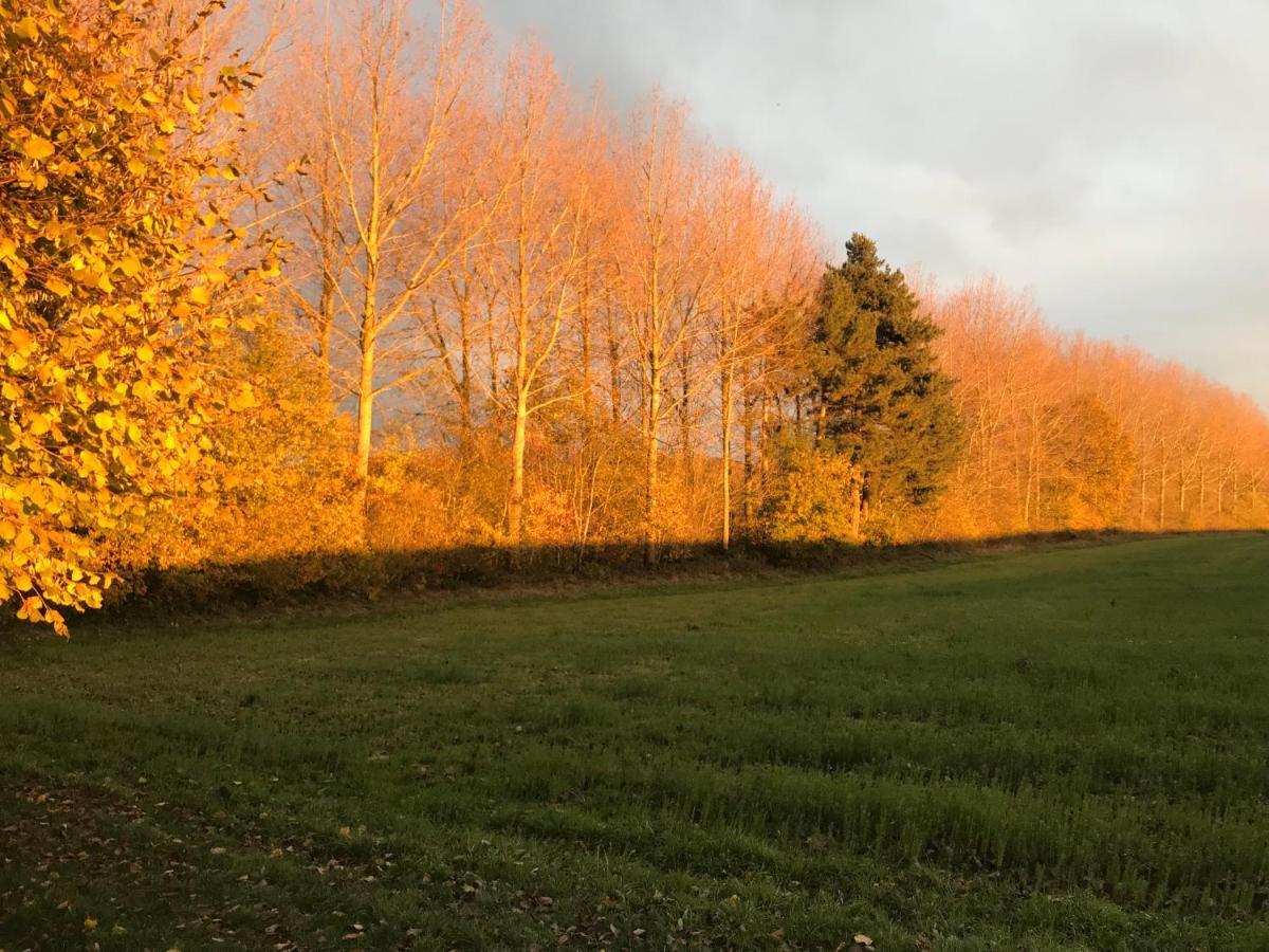 La Suite Cosy - Votre Pause Arboree La Bruyere Eksteriør bilde