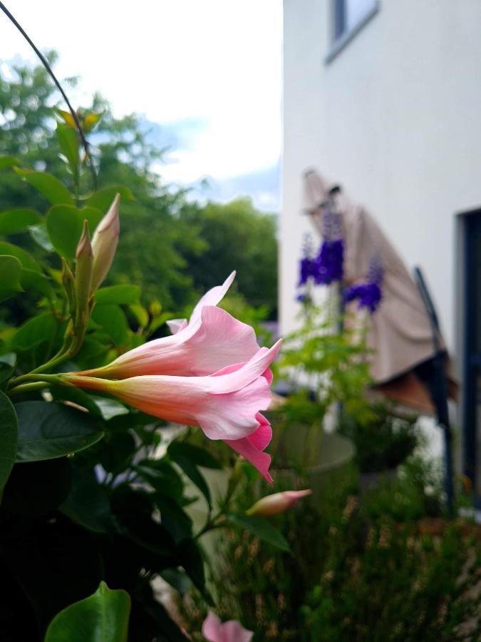 La Suite Cosy - Votre Pause Arboree La Bruyere Eksteriør bilde